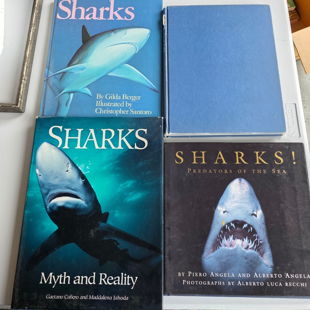 Vintage Shark Book Lot of 4 Hardcover Predators of the Sea Myth and Reality